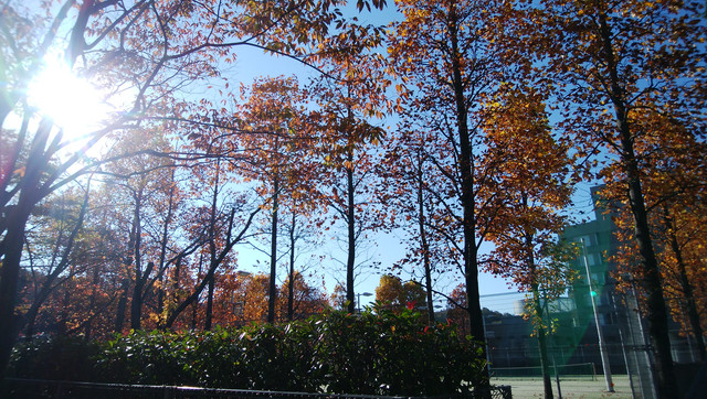 IMG-20221108-085945