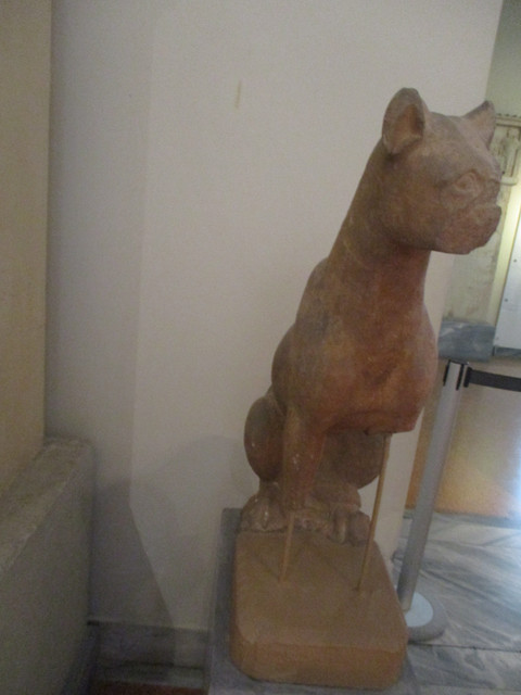 IMG-7323