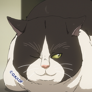 Icon-05-DF-64
