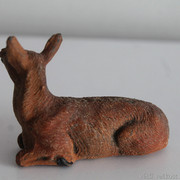 IMG-6636