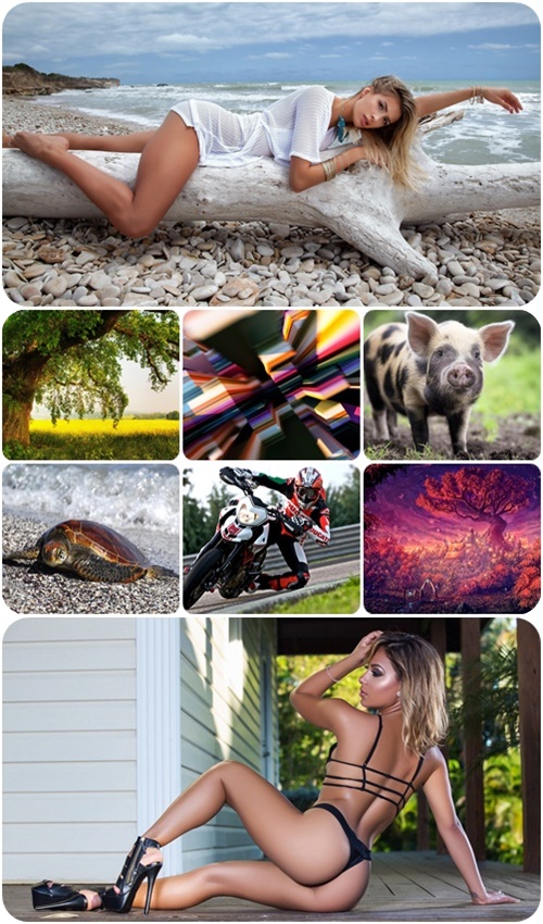 Beautiful widescreen wallpapers 854