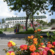DSC06035