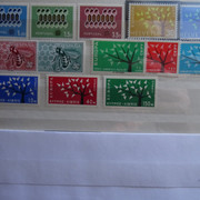 DSC02229