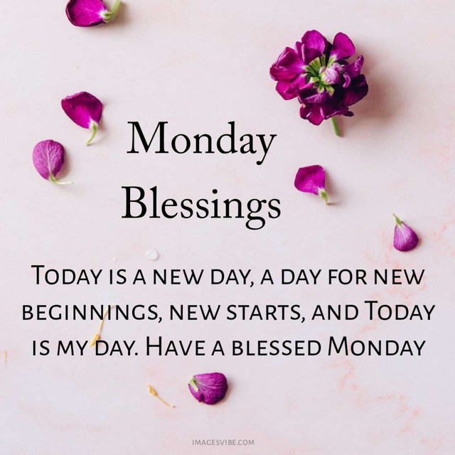 monday-8