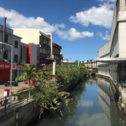 IMG 3316