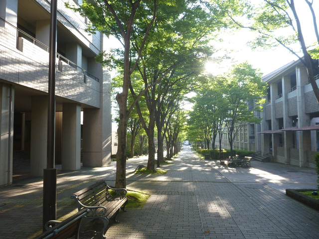 P1320114