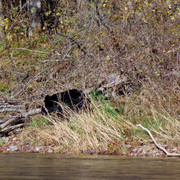 DSC04196