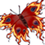 Fire-Moth