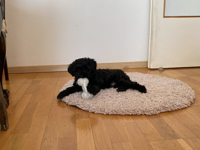 78-A58-ED6-1395-4-D69-AFAD-0-F99-B24-C7-