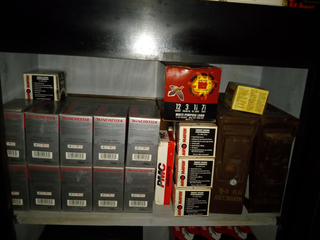 12-GA45acp