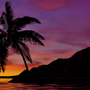 3DX Nature