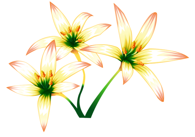 a78d6f325e73