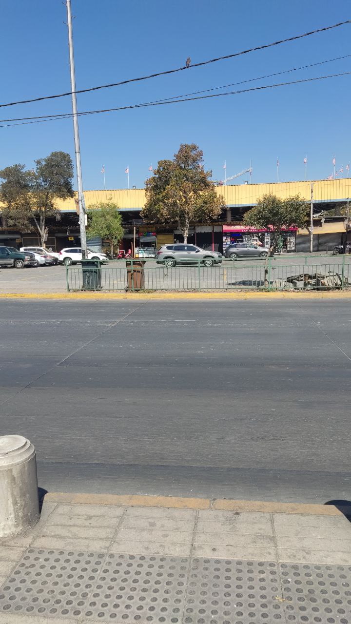 biobio.jpg