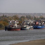 DSC08230