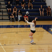 IMG-0401