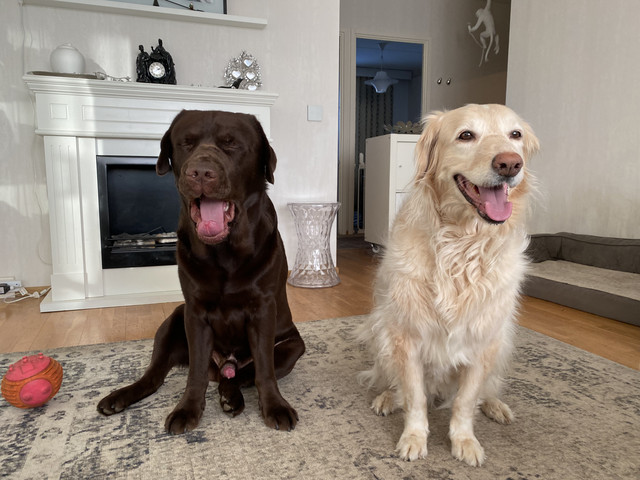 4-F290-E6-E-7776-4311-AFF2-9-E3-D378-B39