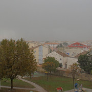 IMG-2952