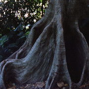 img003
