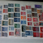 IMG-6926
