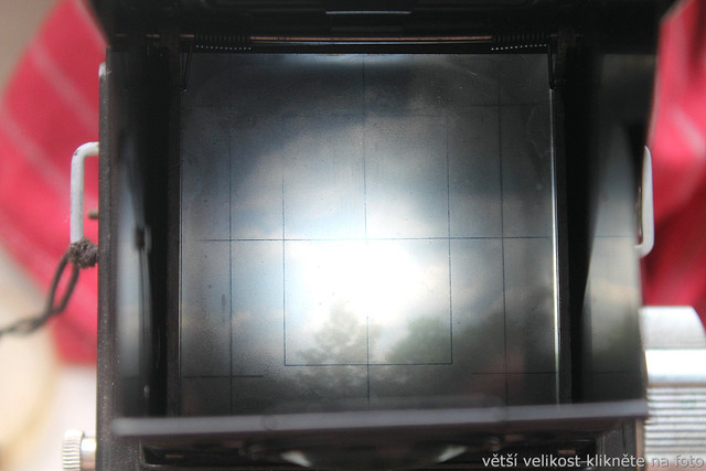 IMG-2583.jpg