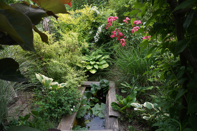 800-DSC05496
