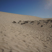 DSC01246