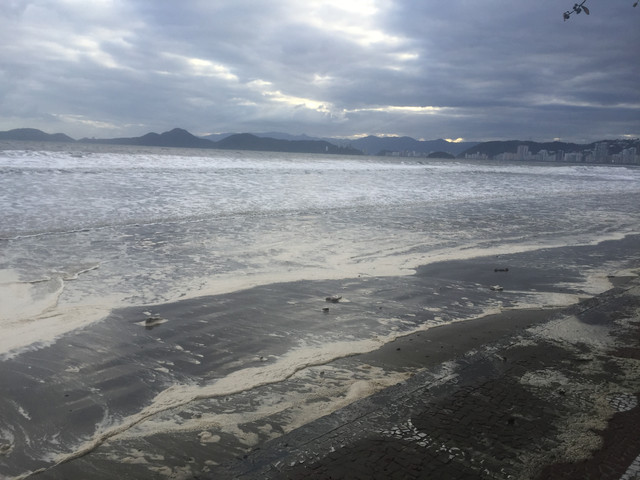 IMG-3500