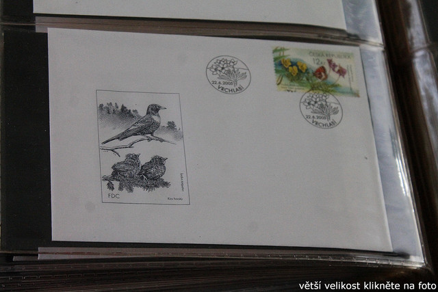 IMG-2701