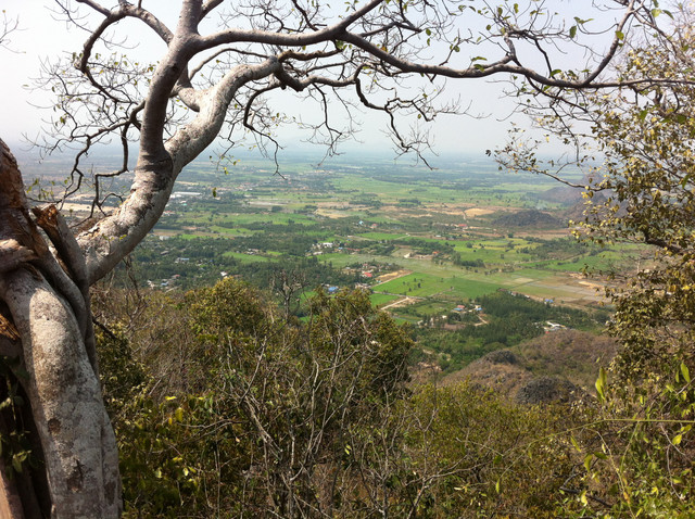 IMG-5516
