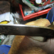 IMG-1126