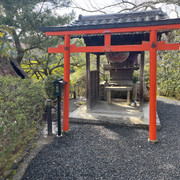 IMG-3020