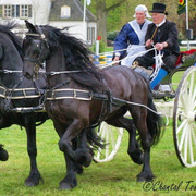 Friesiancarriage