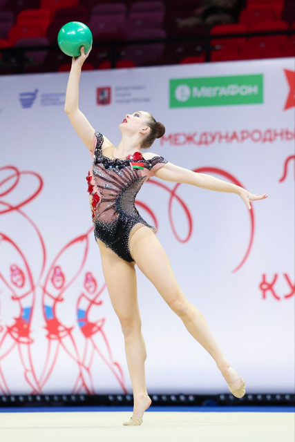 kamenshchikova2d