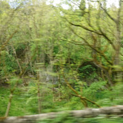 DSCF6060