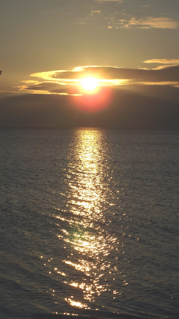 DSCF9826
