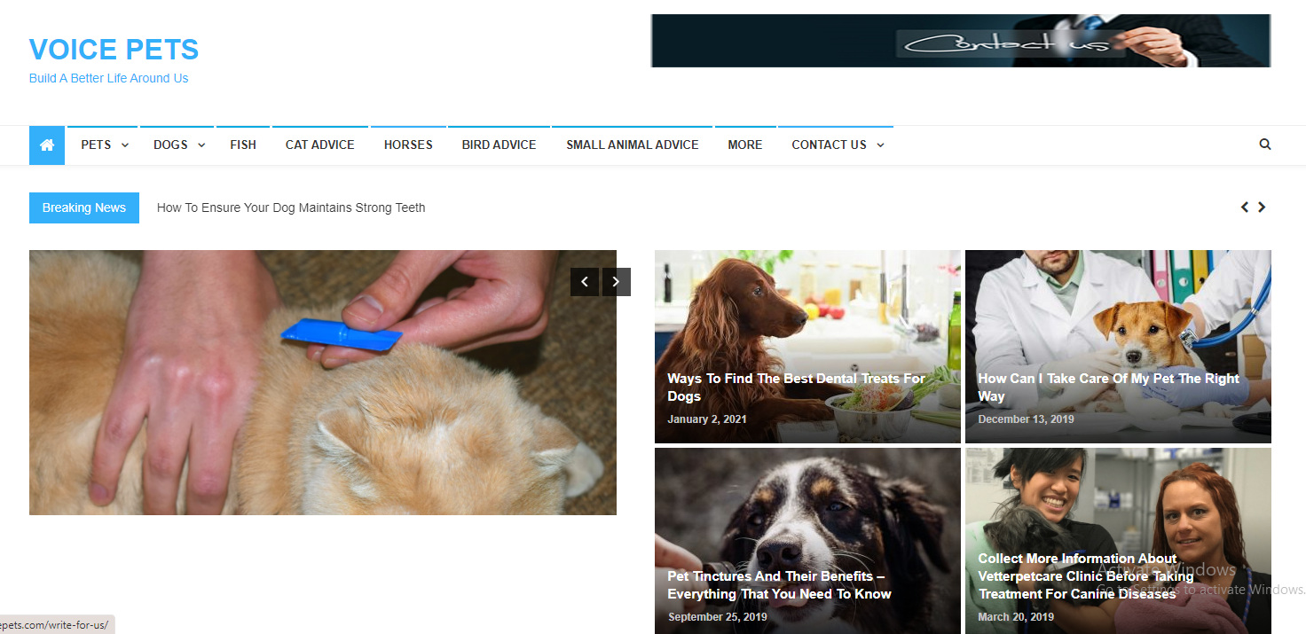 voicepets