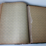IMG-7617