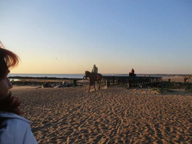 IMG-5699