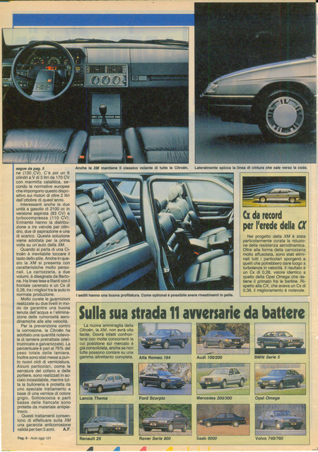 XM CERVELLO 02