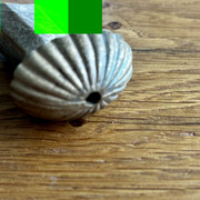 IMG-E5790