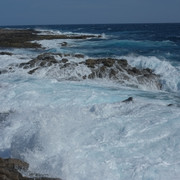 DSCF8212