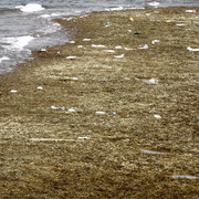 79-General-Marsa-Alam-Lazuli