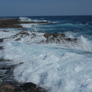 DSCF8209