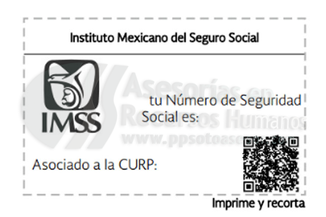 mi #NSS