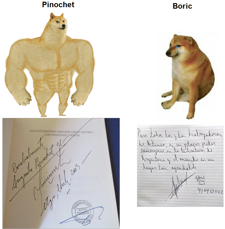 Buff-Doge-vs-Cheems.png