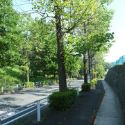 P1340812