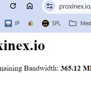 [Image: Proxinex-checking-remaining-traffic.jpg]