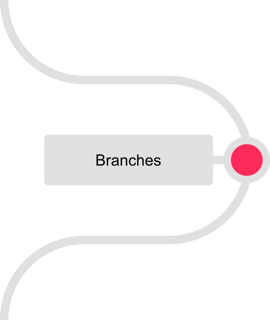 Version Control Lead - Branches