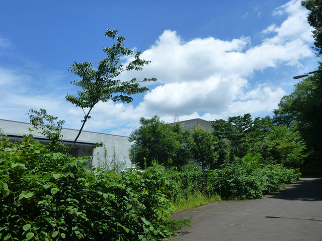 P1330856