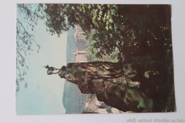 IMG-6331